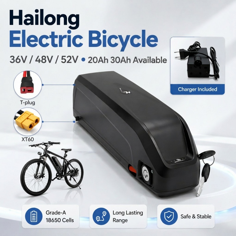 แบตเตอรี่ Hailong อเนกประสงค์  - Ebike Battery 48V 20Ah Hailong บทวิจารณ์และราคา